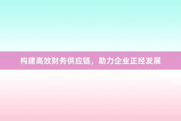 构建高效财务供应链，助力企业正经发展