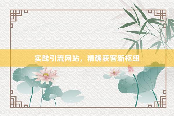 实践引流网站，精确获客新枢纽