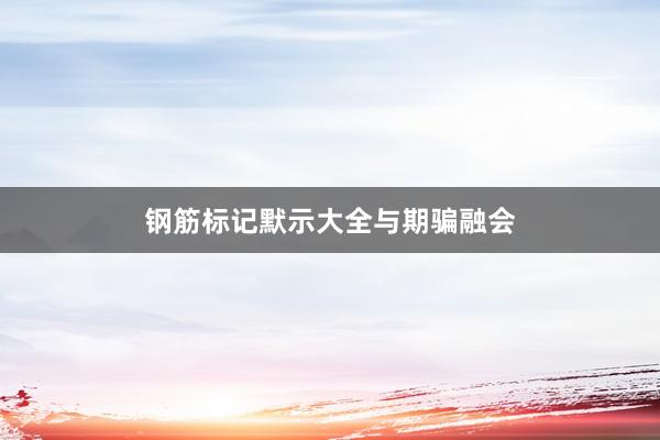 钢筋标记默示大全与期骗融会