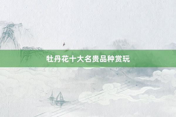 牡丹花十大名贵品种赏玩
