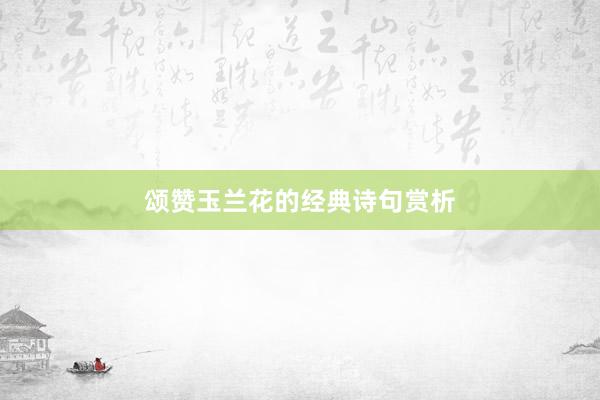 颂赞玉兰花的经典诗句赏析