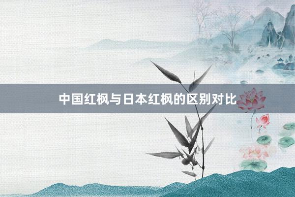 中国红枫与日本红枫的区别对比